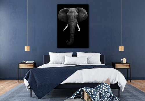 Tablou Elephant dark - 50 x 70 cm