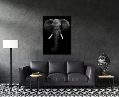 Tablou Elephant dark - 50 x 70 cm