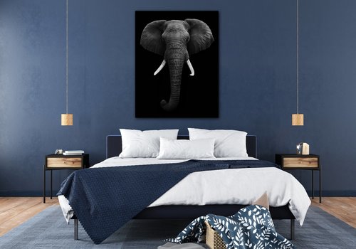 Tablou Elephant dark - 70 x 90 cm