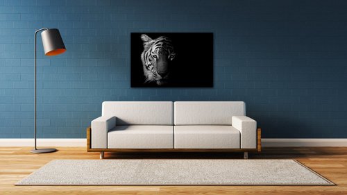 Tablou Tiger black and white - 60 x 40 cm