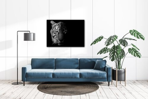 Tablou Tiger black and white - 70 x 50 cm
