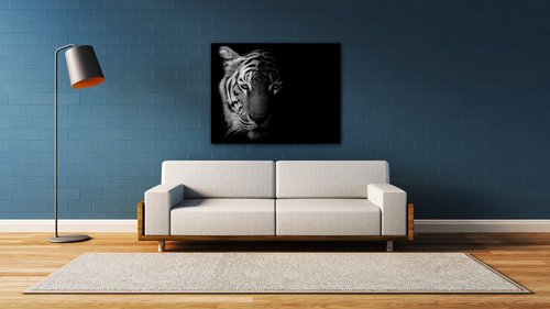 Tablou Tiger black and white - 90 x 70 cm