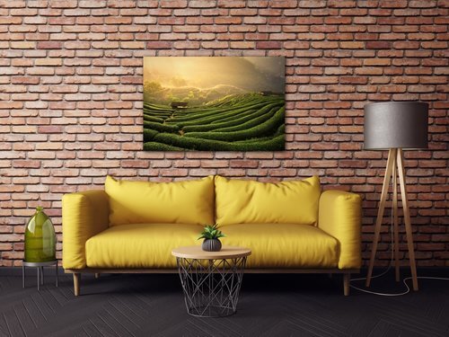 Tablou Sunrise On The Tea Plantation - 60 x 40 cm