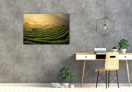 Tablou Sunrise On The Tea Plantation - 60 x 40 cm