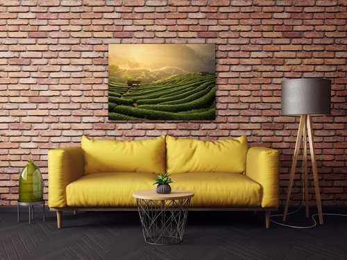 Tablou Sunrise On The Tea Plantation - 70 x 50 cm
