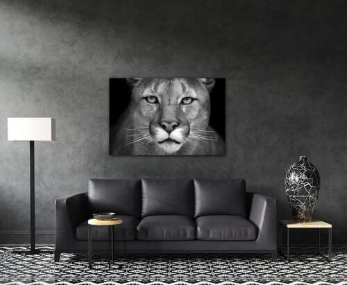 Tablou Beast - 90 x 60 cm