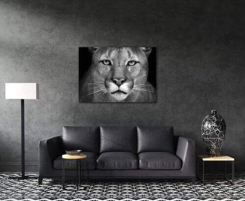 Tablou Beast - 70 x 50 cm