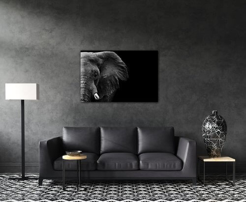 Tablou Elephant black background - 90 x 60 cm