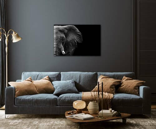 Tablou Elephant black background - 90 x 60 cm
