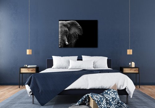 Tablou Elephant black background - 70 x 50 cm