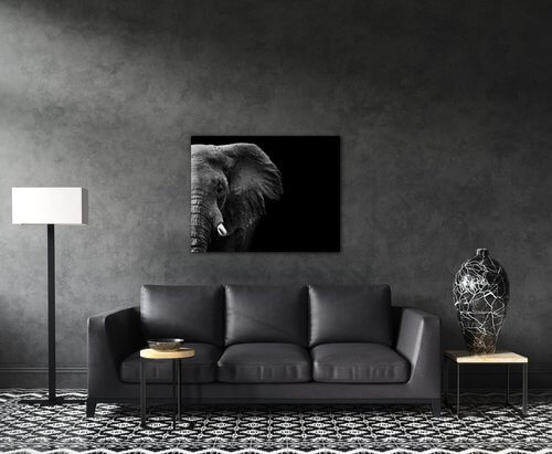 Tablou Elephant black background - 90 x 70 cm