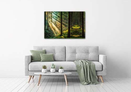 Tablou Beautiful forest - 90 x 60 cm
