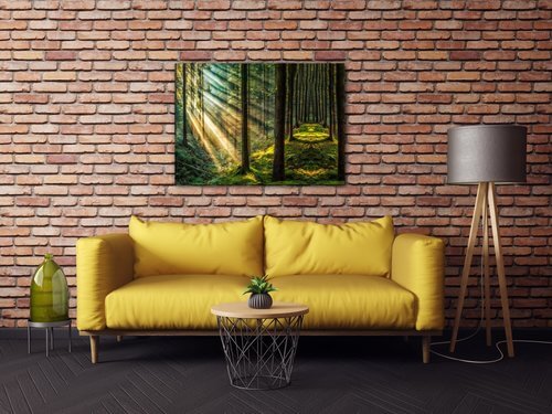 Tablou Beautiful forest - 70 x 50 cm