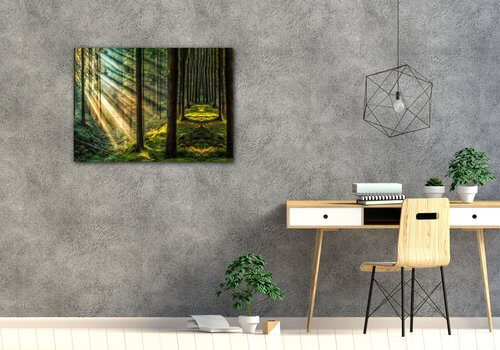 Tablou Beautiful forest - 70 x 50 cm