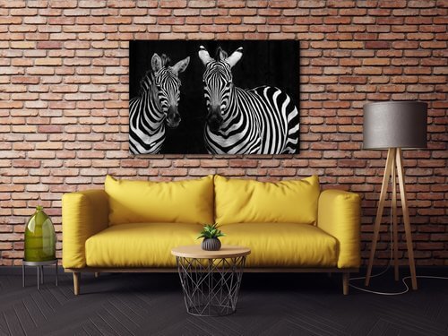 Tablou Duo zebras black and white - 60 x 40 cm