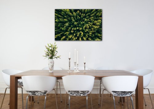 Tablou Forest - 60 x 40 cm