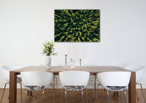 Tablou Forest - 70 x 50 cm