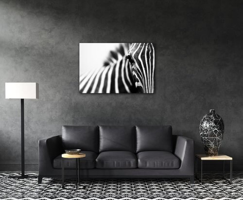 Tablou Zebra detail - 90 x 60 cm