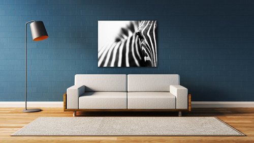 Tablou Zebra detail - 90 x 70 cm