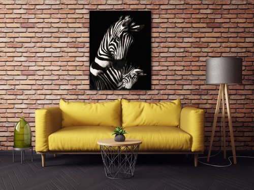 Tablou Zebras black and white - 70 x 90 cm