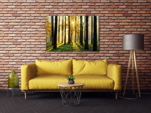 Tablou Trees and sunshine - 60 x 40 cm