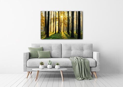 Tablou Trees and sunshine - 60 x 40 cm