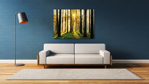 Tablou Trees and sunshine - 70 x 50 cm