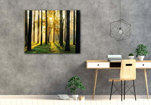Tablou Trees and sunshine - 90 x 70 cm