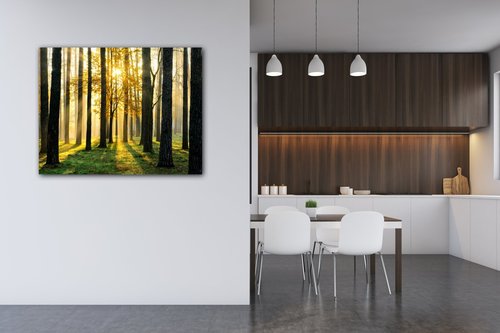 Tablou Trees and sunshine - 90 x 70 cm