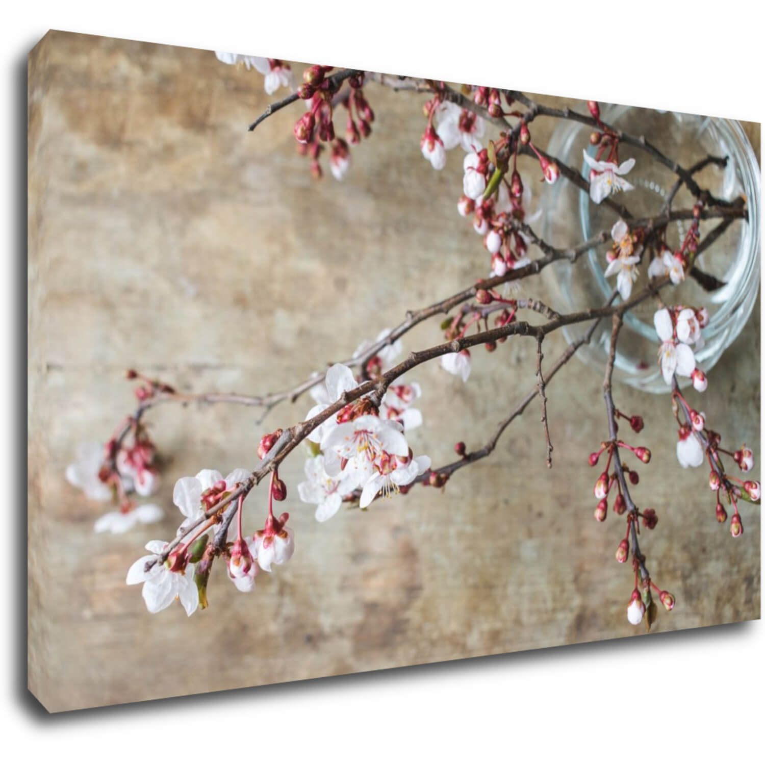 Tablou Pink blossom - 50 x 30 cm