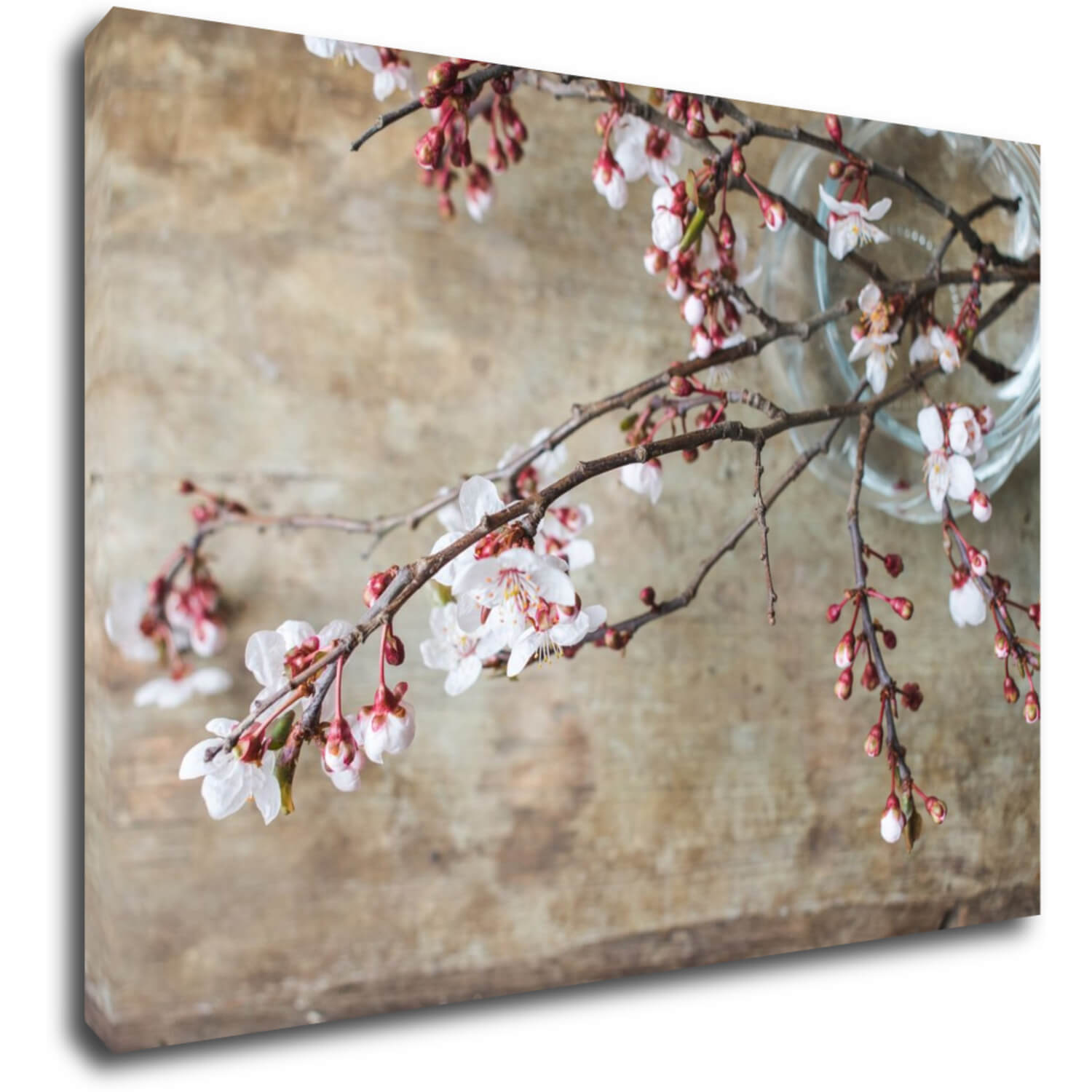 Tablou Pink blossom - 70 x 50 cm