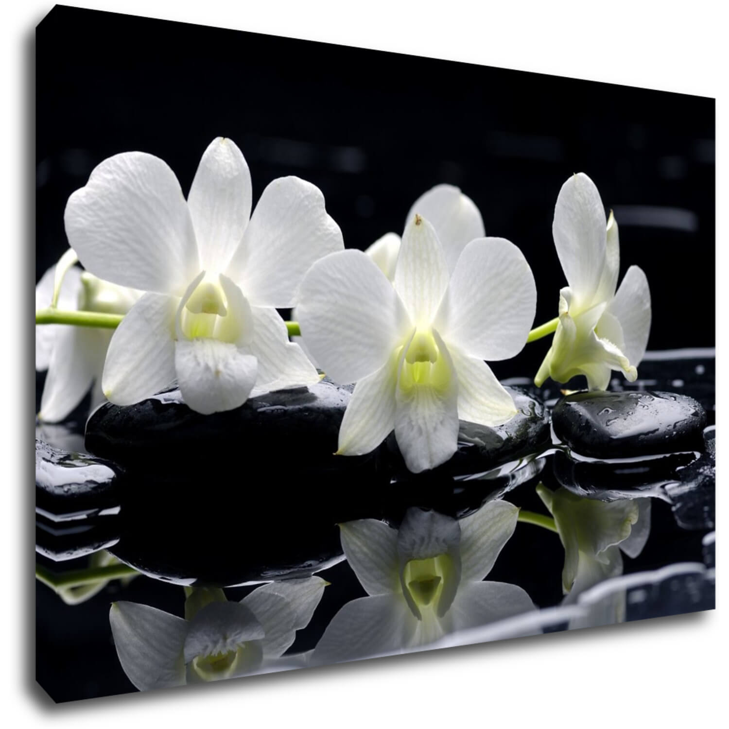 Tablou White orchids black background - 60 x 40 cm