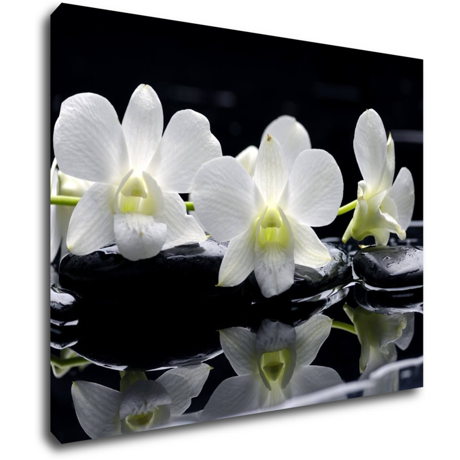 Tablou White orchids black background - 90 x 70 cm