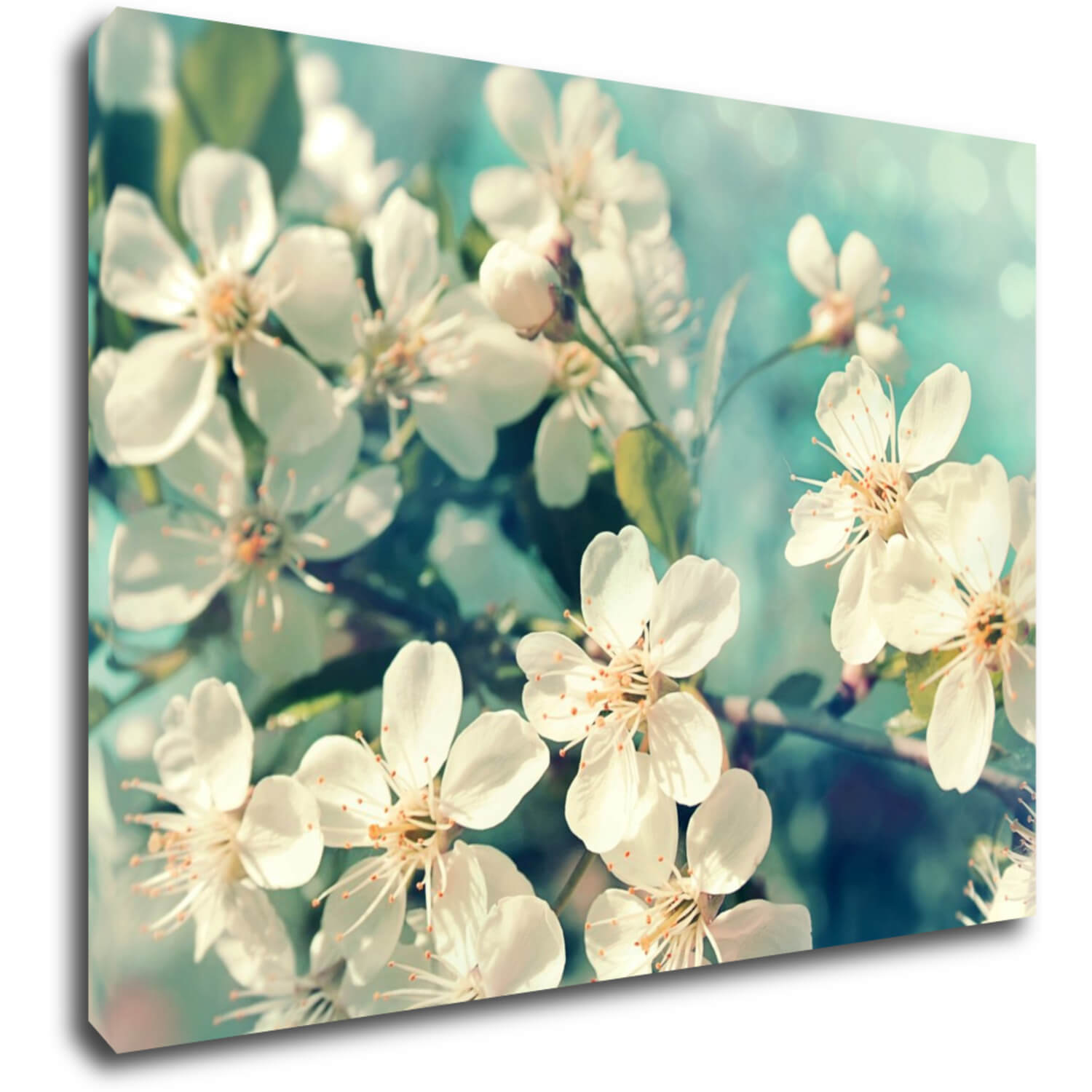Tablou Blue background cherry blossom - 60 x 40 cm