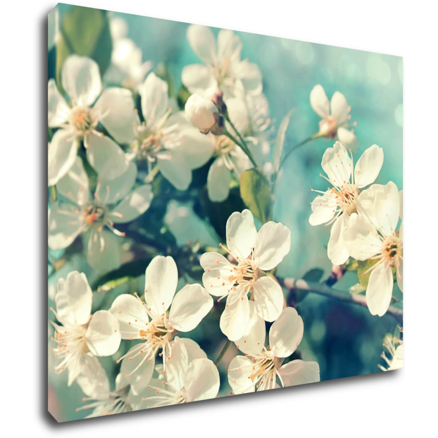 Tablou Blue background cherry blossom - 90 x 70 cm