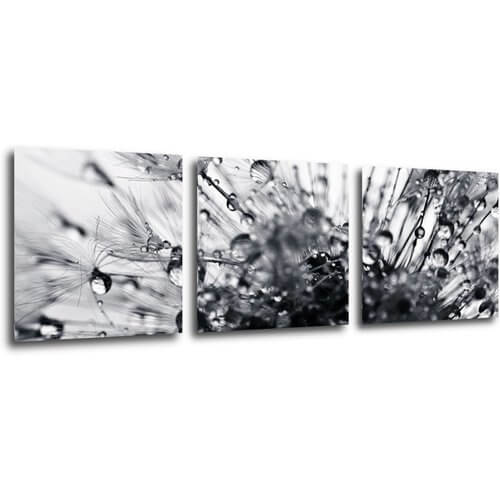 Tablou Flower with little drops of water - 90 x 30 cm (3-piese)