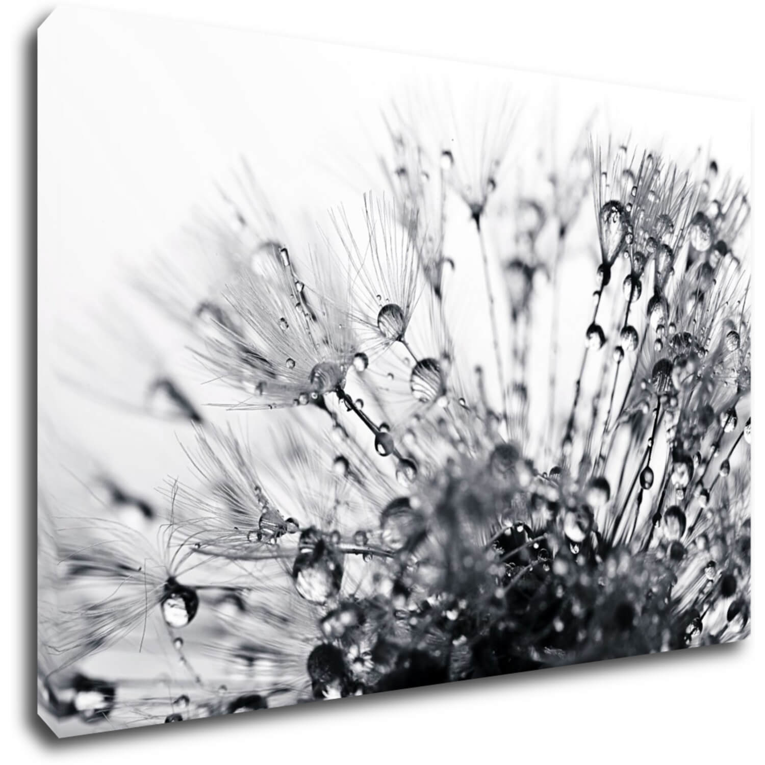 Tablou Flower with little drops of water - 60 x 40 cm