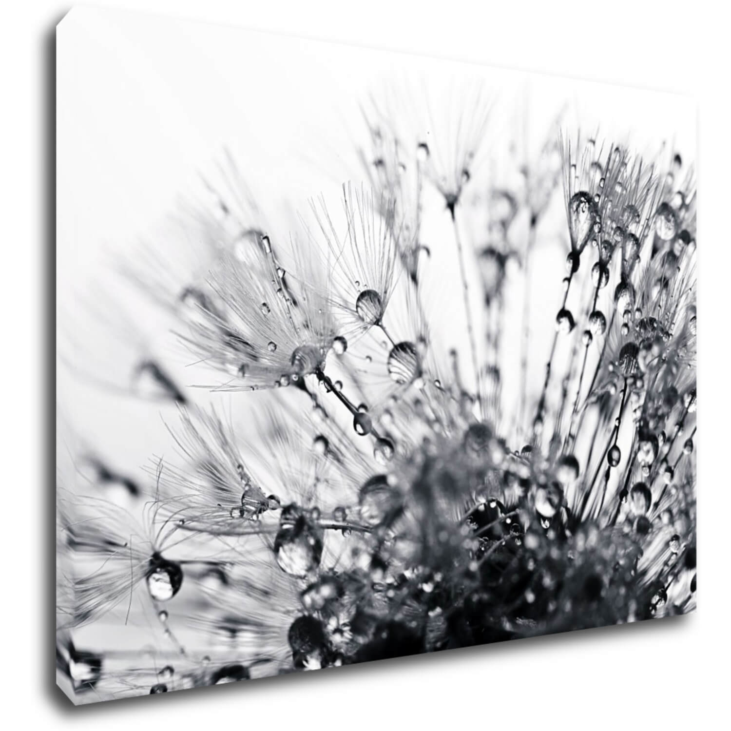 Tablou Flower with little drops of water - 70 x 50 cm