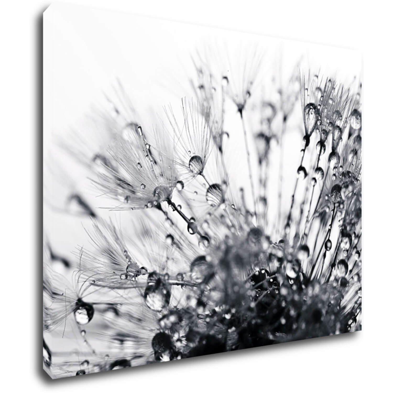 Tablou Flower with little drops of water - 90 x 70 cm