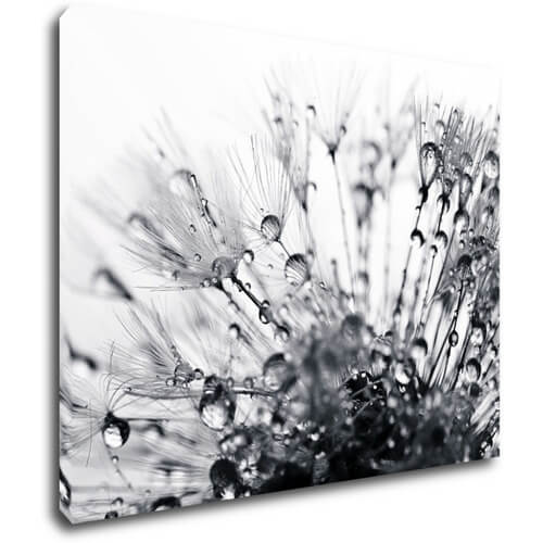 Tablou Flower with little drops of water - 90 x 70 cm
