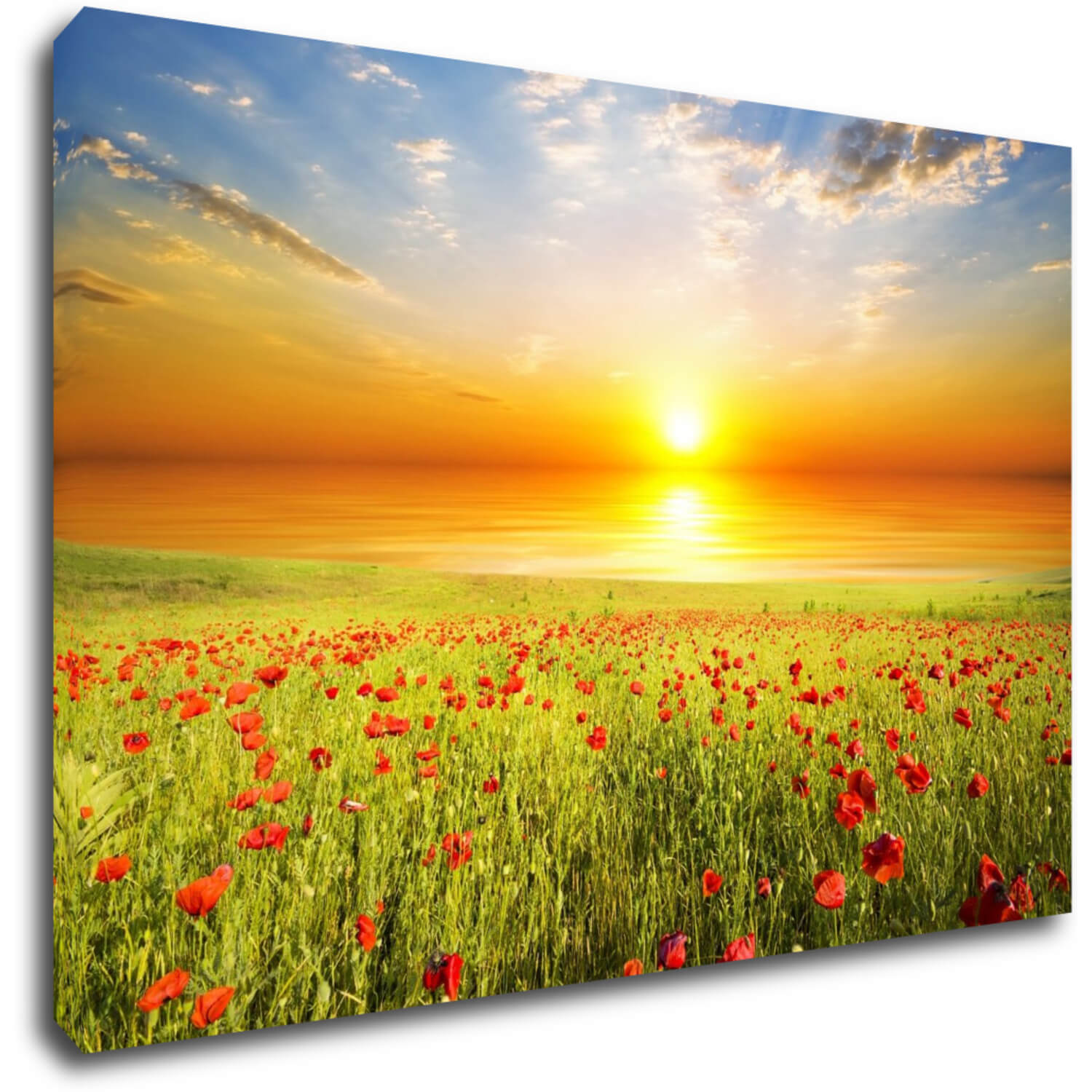 Tablou Poppies field - 60 x 40 cm