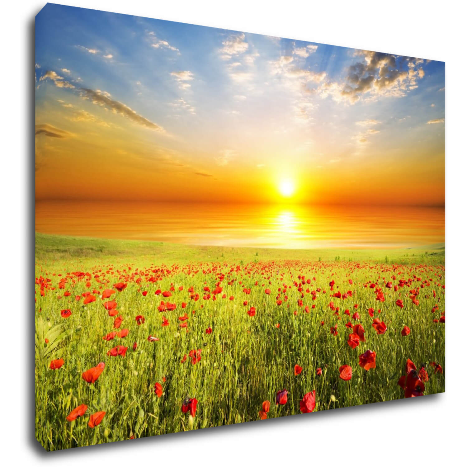 Tablou Poppies field - 70 x 50 cm