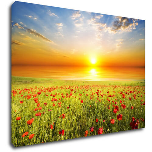Tablou Poppies field - 70 x 50 cm