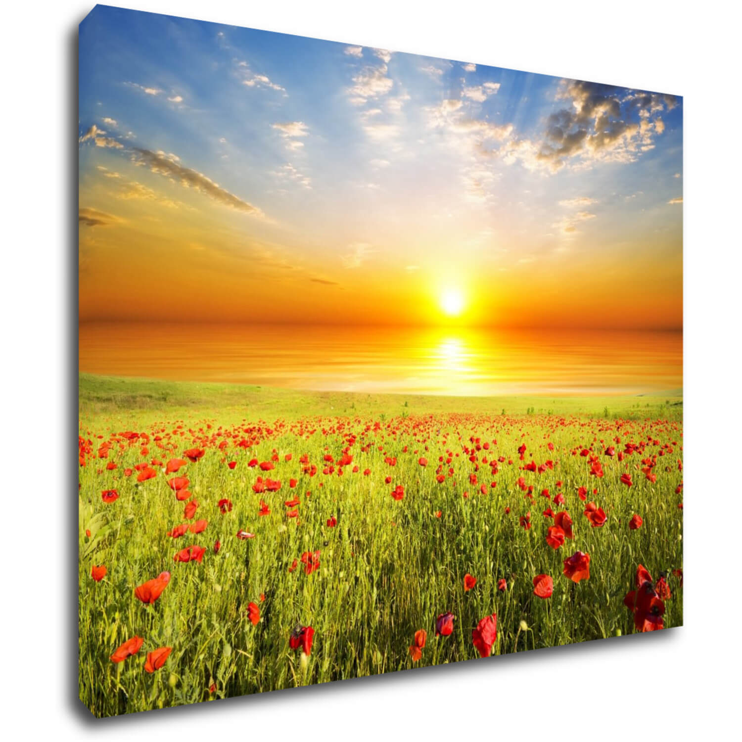 Tablou Poppies field - 90 x 70 cm