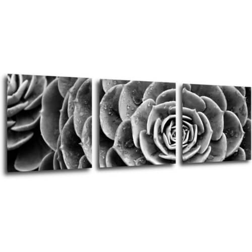Tablou Black and white blossom - 90 x 30 cm (3-piese)