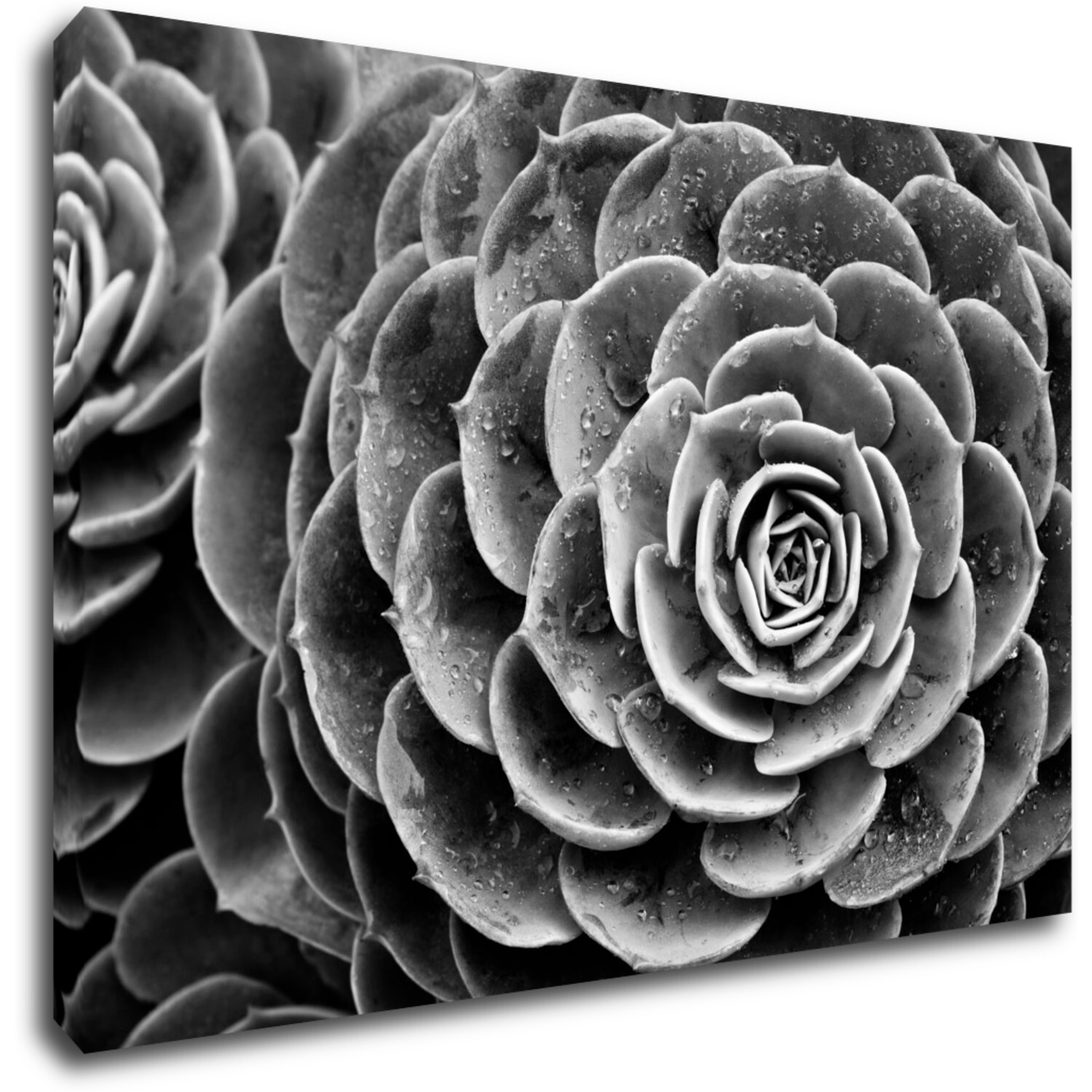 Tablou Black and white blossom - 90 x 60 cm