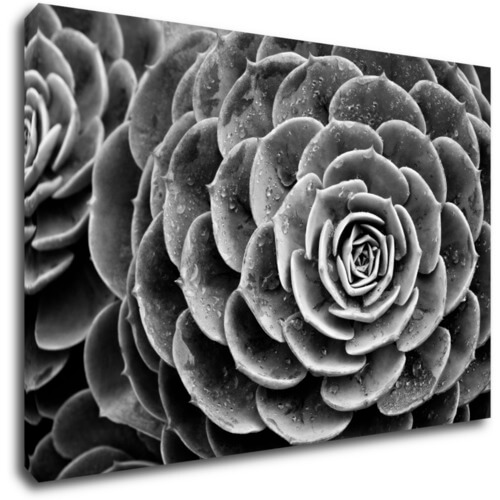 Tablou Black and white blossom - 90 x 60 cm