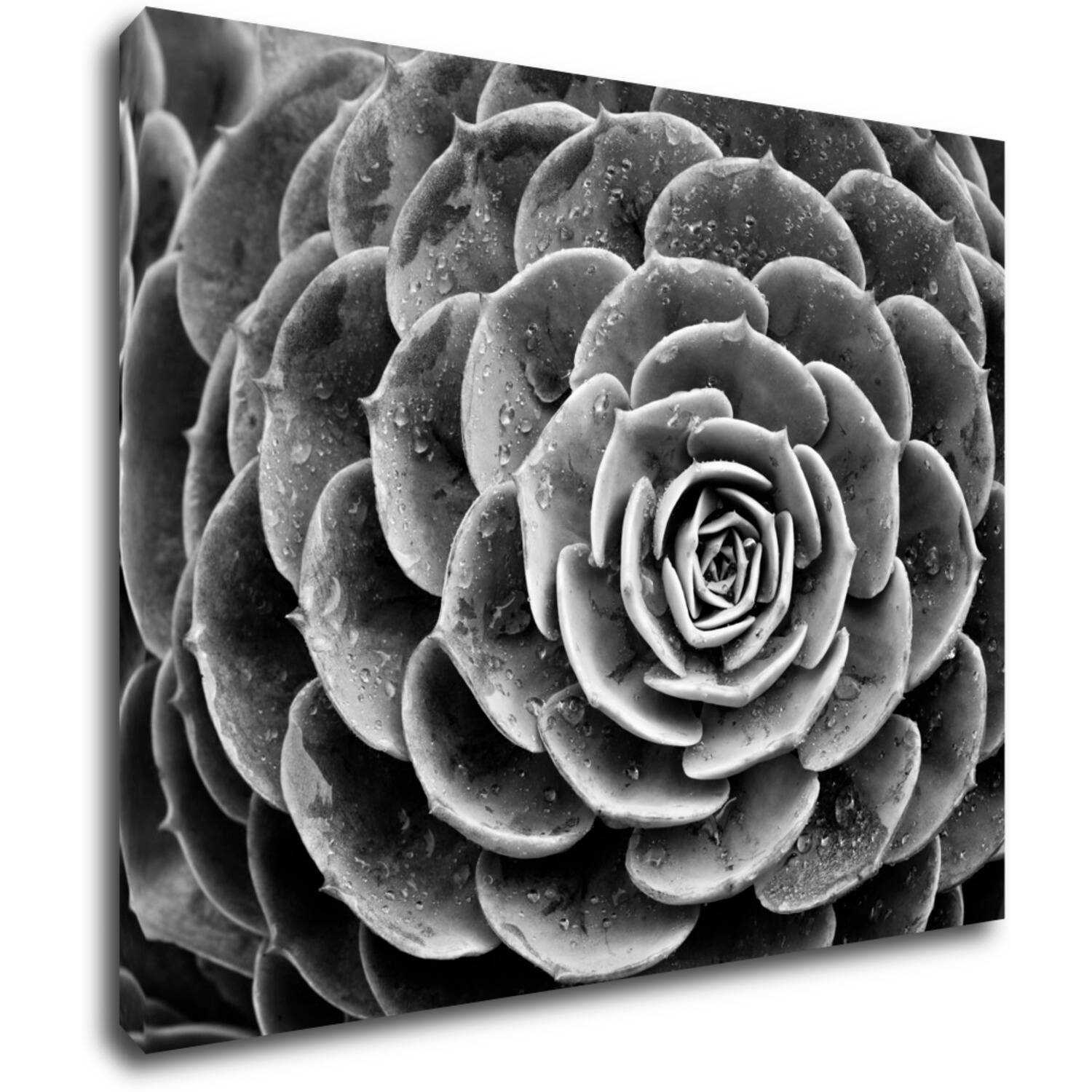 Tablou Black and white blossom - 90 x 70 cm