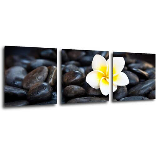 Tablou White blossom on black stones - 90 x 30 cm (3-piese)