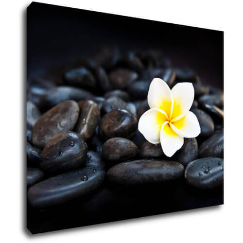 Tablou White blossom on black stones - 90 x 70 cm